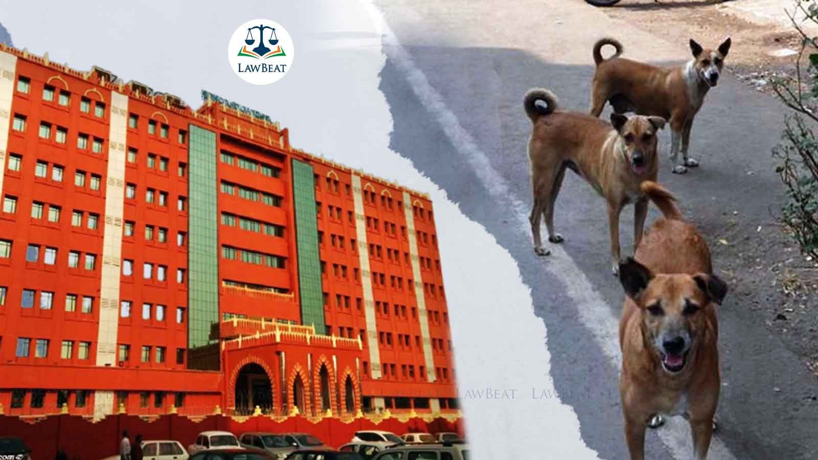 [Stray dogs attacks] Orissa High Court awards Rs 10 lakh compensation to man who lost only child